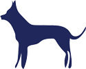 Honden