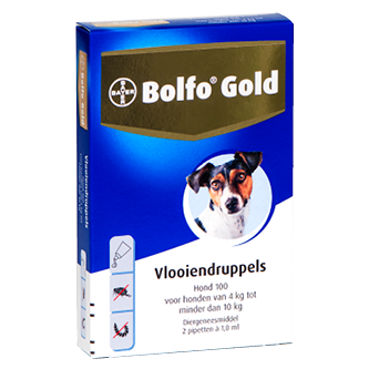Bolfo Gold hond 100-2