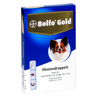 Bolfo Gold hond 40-4